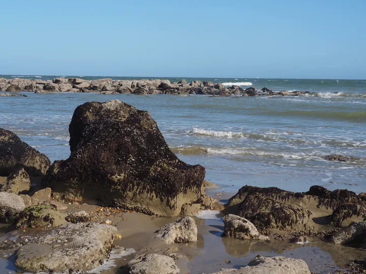 Le Gris-Nez, Cap Gris-Nez (Frankrijk)